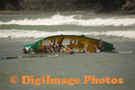 Surf 
                  
 
 
 
 Boats Piha     09     8303